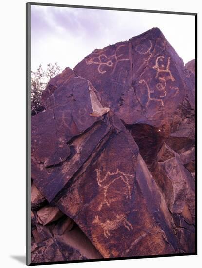 Petroglyphs in Gurvansaikhan National Park, Gobi Desert, Mongolia-Gavriel Jecan-Mounted Photographic Print