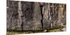 Petroglyphs on rock at Sproat Lake, Sproat Lake Provincial Park, Vancouver Island, British Colum...-null-Mounted Photographic Print