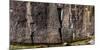 Petroglyphs on rock at Sproat Lake, Sproat Lake Provincial Park, Vancouver Island, British Colum...-null-Mounted Photographic Print