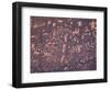 Petroglyphs on Sandstone Rock, Newspaper Rock, near Monticello, Utah, USA-Jamie & Judy Wild-Framed Photographic Print