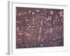 Petroglyphs on Sandstone Rock, Newspaper Rock, near Monticello, Utah, USA-Jamie & Judy Wild-Framed Photographic Print