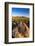 Petroglyphs on Signal Hill, Saguaro National Park, Tucson, Arizona, Usa-Russ Bishop-Framed Photographic Print