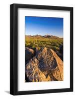 Petroglyphs on Signal Hill, Saguaro National Park, Tucson, Arizona, Usa-Russ Bishop-Framed Photographic Print