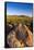 Petroglyphs on Signal Hill, Saguaro National Park, Tucson, Arizona, Usa-Russ Bishop-Framed Stretched Canvas