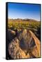 Petroglyphs on Signal Hill, Saguaro National Park, Tucson, Arizona, Usa-Russ Bishop-Framed Stretched Canvas