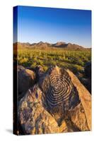 Petroglyphs on Signal Hill, Saguaro National Park, Tucson, Arizona, Usa-Russ Bishop-Stretched Canvas