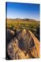 Petroglyphs on Signal Hill, Saguaro National Park, Tucson, Arizona, Usa-Russ Bishop-Stretched Canvas