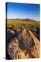 Petroglyphs on Signal Hill, Saguaro National Park, Tucson, Arizona, Usa-Russ Bishop-Stretched Canvas