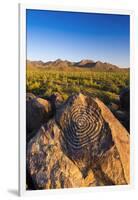 Petroglyphs on Signal Hill, Saguaro National Park, Tucson, Arizona, Usa-Russ Bishop-Framed Photographic Print