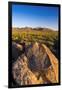 Petroglyphs on Signal Hill, Saguaro National Park, Tucson, Arizona, Usa-Russ Bishop-Framed Photographic Print