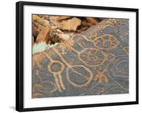 Petroglyphs or Rock Engravings, Twyfelfontein, UNESCO World Heritage Site, Damaraland, Namibia-Nico Tondini-Framed Photographic Print