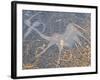 Petroglyphs or Rock Engravings, Twyfelfontein, UNESCO World Heritage Site, Damaraland, Namibia-Nico Tondini-Framed Photographic Print