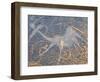 Petroglyphs or Rock Engravings, Twyfelfontein, UNESCO World Heritage Site, Damaraland, Namibia-Nico Tondini-Framed Photographic Print