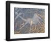 Petroglyphs or Rock Engravings, Twyfelfontein, UNESCO World Heritage Site, Damaraland, Namibia-Nico Tondini-Framed Photographic Print