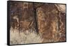 Petroglyphs, Parowan Gap, Iron County, Utah, United States of America, North America-Richard Cummins-Framed Stretched Canvas