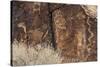 Petroglyphs, Parowan Gap, Iron County, Utah, United States of America, North America-Richard Cummins-Stretched Canvas