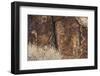 Petroglyphs, Parowan Gap, Iron County, Utah, United States of America, North America-Richard Cummins-Framed Photographic Print