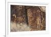 Petroglyphs, Parowan Gap, Iron County, Utah, United States of America, North America-Richard Cummins-Framed Photographic Print