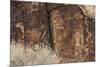 Petroglyphs, Parowan Gap, Iron County, Utah, United States of America, North America-Richard Cummins-Mounted Photographic Print