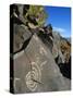 Petroglyphs, Santa Fe County, New Mexico, USA-Michael Snell-Stretched Canvas