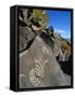Petroglyphs, Santa Fe County, New Mexico, USA-Michael Snell-Framed Stretched Canvas
