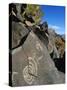 Petroglyphs, Santa Fe County, New Mexico, USA-Michael Snell-Stretched Canvas