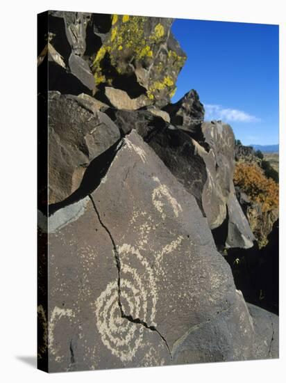 Petroglyphs, Santa Fe County, New Mexico, USA-Michael Snell-Stretched Canvas