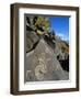 Petroglyphs, Santa Fe County, New Mexico, USA-Michael Snell-Framed Photographic Print