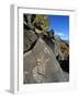 Petroglyphs, Santa Fe County, New Mexico, USA-Michael Snell-Framed Photographic Print