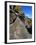 Petroglyphs, Santa Fe County, New Mexico, USA-Michael Snell-Framed Photographic Print