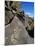 Petroglyphs, Santa Fe County, New Mexico, USA-Michael Snell-Mounted Photographic Print