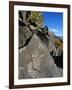 Petroglyphs, Santa Fe County, New Mexico, USA-Michael Snell-Framed Photographic Print