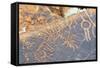 Petroglyphs, Twyfelfontein, Damaraland, Kunene Region, Namibia.-Nico Tondini-Framed Stretched Canvas