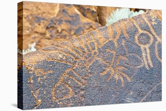 Petroglyphs, Twyfelfontein, Damaraland, Kunene Region, Namibia.-Nico Tondini-Stretched Canvas