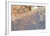 Petroglyphs, Twyfelfontein, Damaraland, Kunene Region, Namibia.-Nico Tondini-Framed Photographic Print