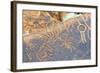 Petroglyphs, Twyfelfontein, Damaraland, Kunene Region, Namibia.-Nico Tondini-Framed Photographic Print