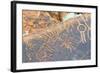 Petroglyphs, Twyfelfontein, Damaraland, Kunene Region, Namibia.-Nico Tondini-Framed Photographic Print