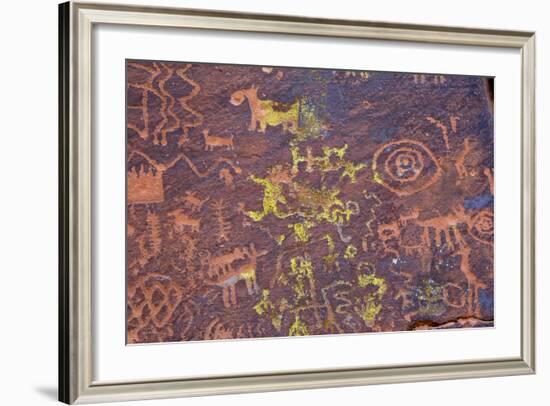 Petroglyphs, V Bar V Heritage Site, Arizona, USA-Jamie & Judy Wild-Framed Photographic Print