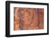 Petroglyphs, V Bar V Heritage Site, Arizona, USA-Jamie & Judy Wild-Framed Photographic Print