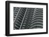 Petronas Twin Towers, Close-Up, Kuala Lumpur, Malaysia, Southeast Asia-Nick Servian-Framed Photographic Print