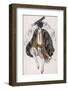 Petroushka Costume Design by Leon Bakst-null-Framed Photographic Print