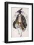 Petroushka Costume Design by Leon Bakst-null-Framed Photographic Print