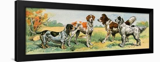 Pets, Hunting Dog Breeds. Lithograph from 19Th Century Illustration.-null-Framed Giclee Print