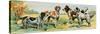Pets, Hunting Dog Breeds. Lithograph from 19Th Century Illustration.-null-Stretched Canvas