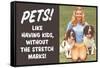 Pets Like Having Kids Without The Stretch Marks Funny Poster-Ephemera-Framed Stretched Canvas