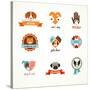 Pets Vector Icons - Cats and Dogs-Marish-Stretched Canvas