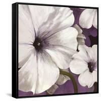 Petunia Array 1-Jurgen Gottschlag-Framed Stretched Canvas