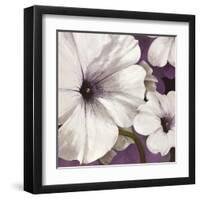 Petunia Array 1-Jurgen Gottschlag-Framed Art Print