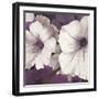 Petunia Array 2-Jurgen Gottschlag-Framed Art Print