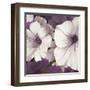 Petunia Array 2-Jurgen Gottschlag-Framed Art Print